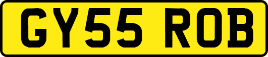 GY55ROB