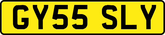 GY55SLY