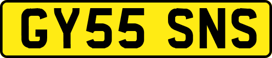 GY55SNS
