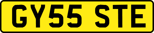 GY55STE