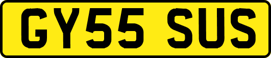 GY55SUS