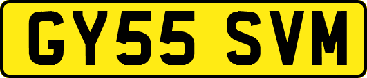 GY55SVM