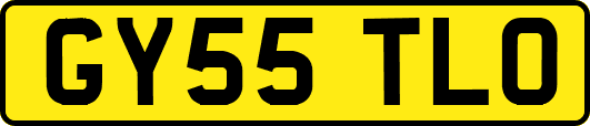 GY55TLO