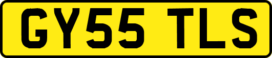 GY55TLS