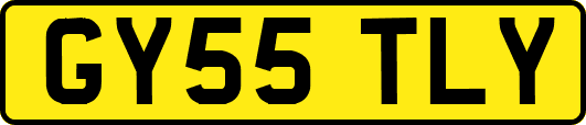 GY55TLY