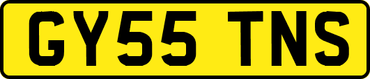GY55TNS