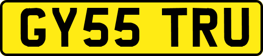 GY55TRU