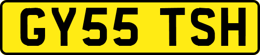 GY55TSH
