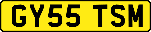 GY55TSM