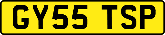 GY55TSP