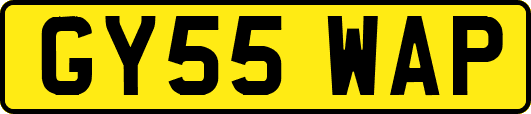GY55WAP