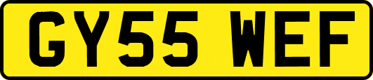 GY55WEF