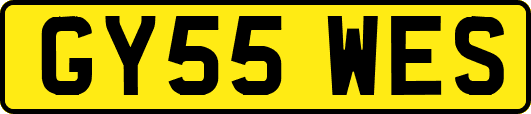 GY55WES