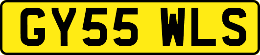 GY55WLS