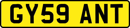 GY59ANT