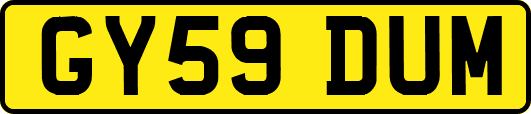 GY59DUM