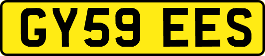 GY59EES