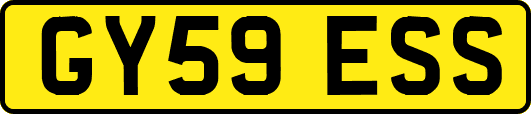 GY59ESS
