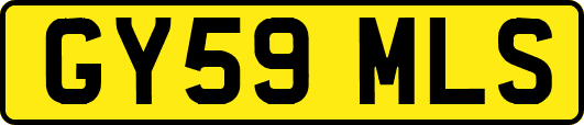 GY59MLS