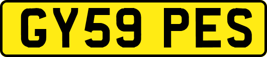 GY59PES