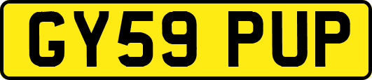 GY59PUP