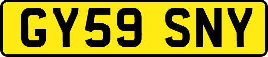 GY59SNY