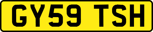 GY59TSH