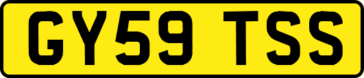 GY59TSS