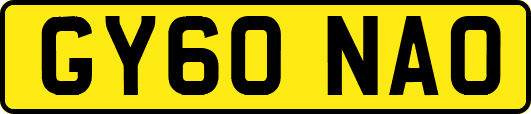 GY60NAO