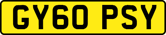 GY60PSY