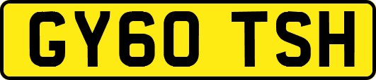 GY60TSH