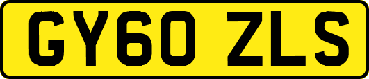 GY60ZLS