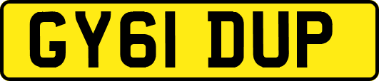 GY61DUP
