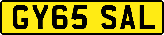 GY65SAL