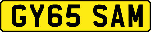 GY65SAM