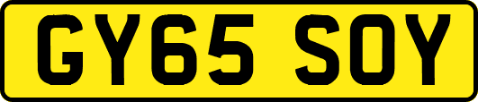 GY65SOY