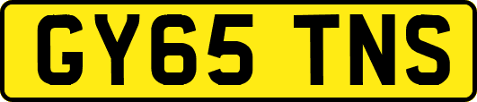 GY65TNS