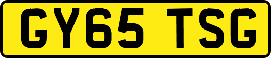 GY65TSG