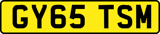 GY65TSM