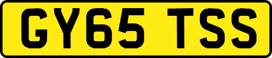 GY65TSS