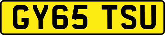 GY65TSU