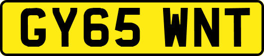 GY65WNT