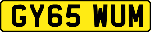 GY65WUM