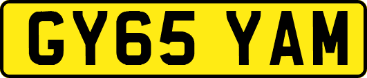 GY65YAM