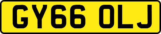 GY66OLJ