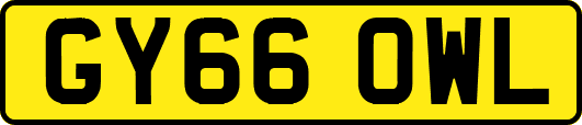 GY66OWL