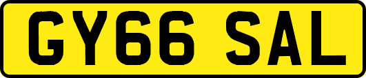 GY66SAL