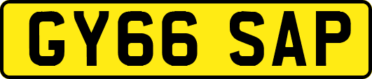 GY66SAP