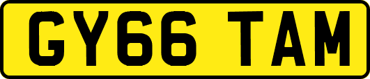 GY66TAM