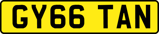 GY66TAN